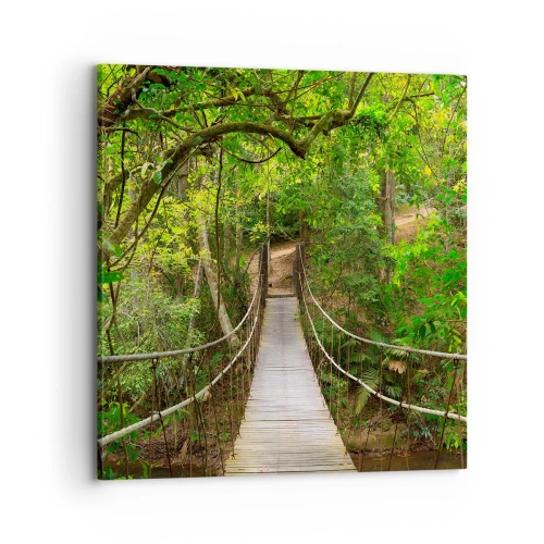Obraz na plátne - Lebo na záhrade rastú popínavé rastliny - 70x70 cm