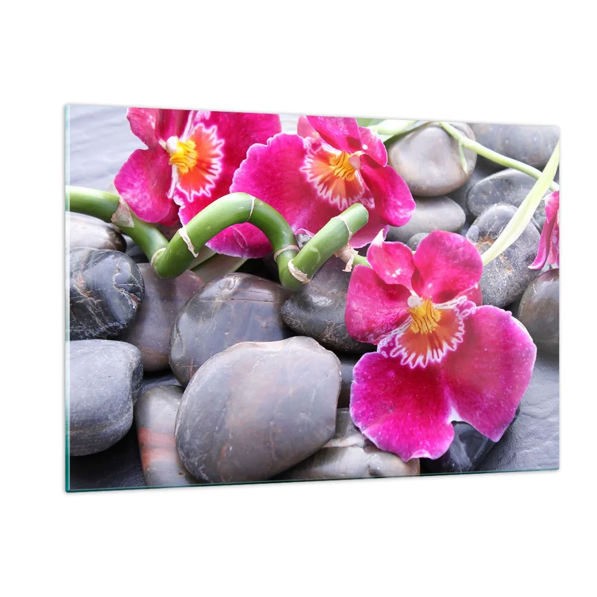 Obraz na skle - Chlad a žiara - 120x80 cm