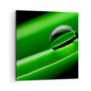 Obraz na plátne - Život zblízka - 50x50 cm