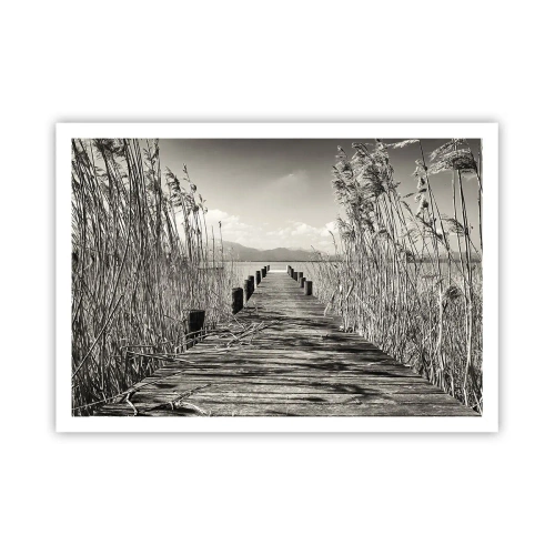 Plagát - V ústraní tráv - 100x70 cm