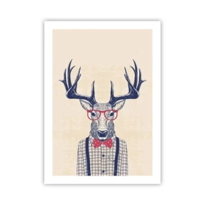 Plagát - Zábavná extravagancia - 50x70 cm