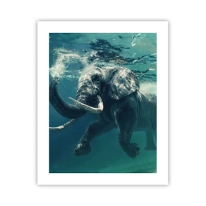 Plagát - Všetci radi plávajú - 40x50 cm