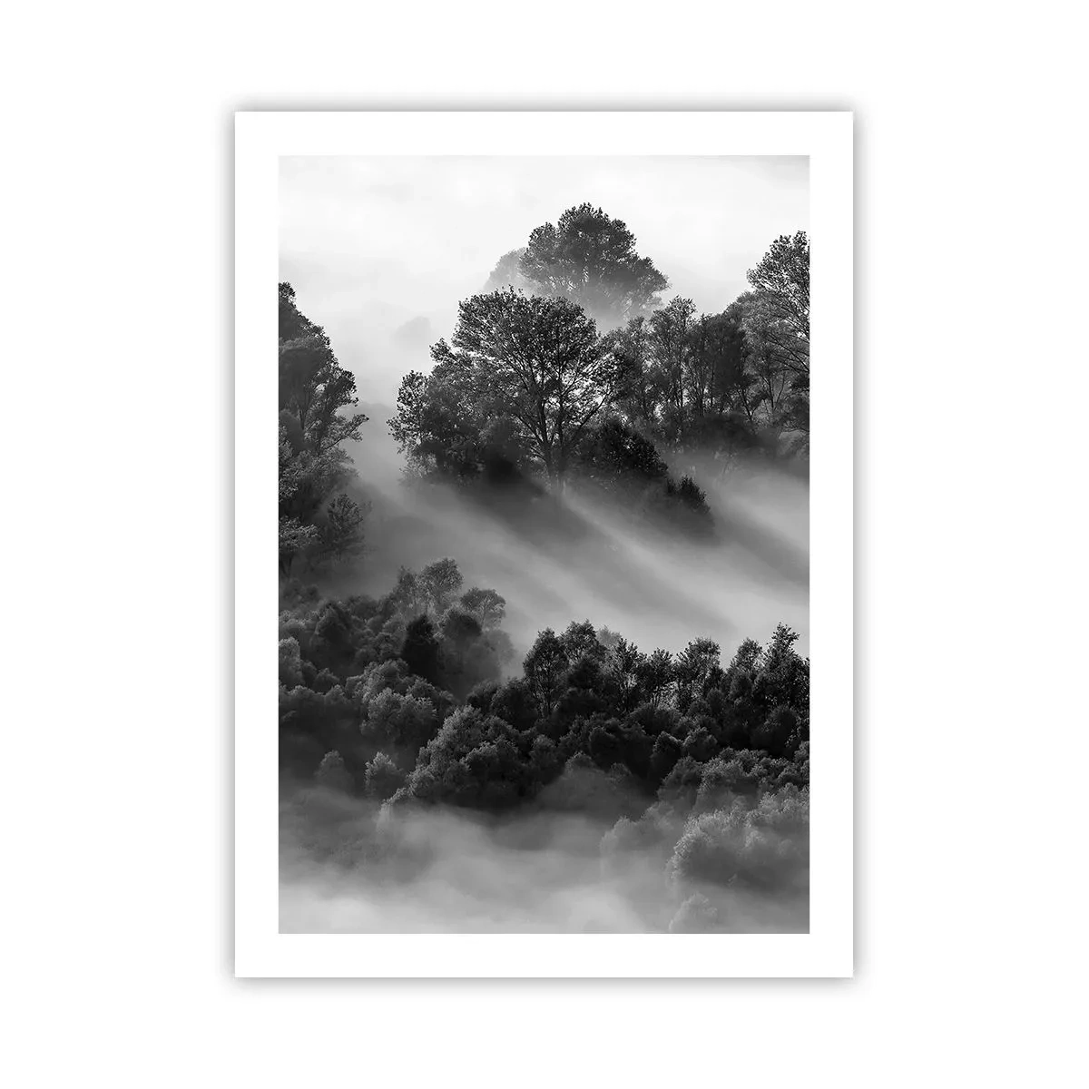 Plagát - Prebúdzanie zo spánku - 50x70 cm