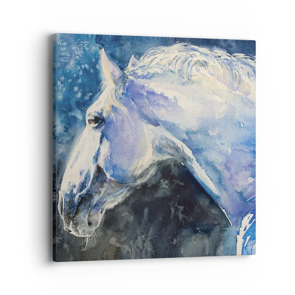 Obraz na plátne - Portrét v modrej žiare - 40x40 cm