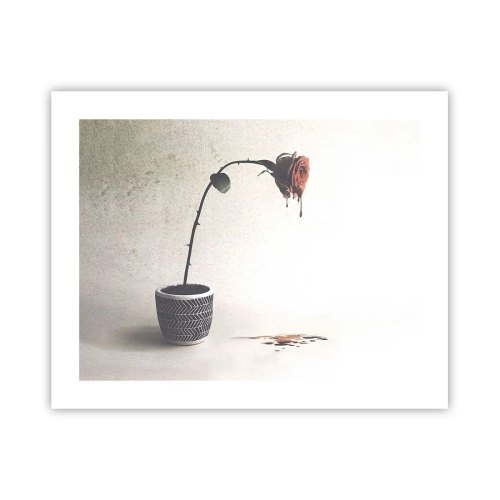 Plagát - Rosa dolorosa - 50x40 cm