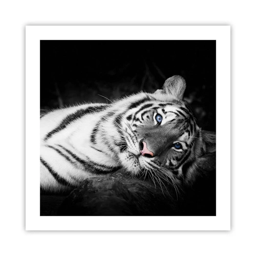 Plagát - Divočina a pokoj - 50x50 cm