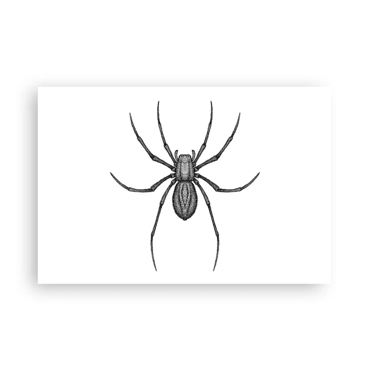 Plagát - Znepokojivá presnosť - 91x61 cm