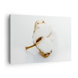 Obraz na plátne - Vetvička bavlny na svetlom pozadí v minimalistickom štýle - 70x50cm - Mäkká od prírody - Moderná nástenná dekorácia do obývacej izby a spálne ARTTOR