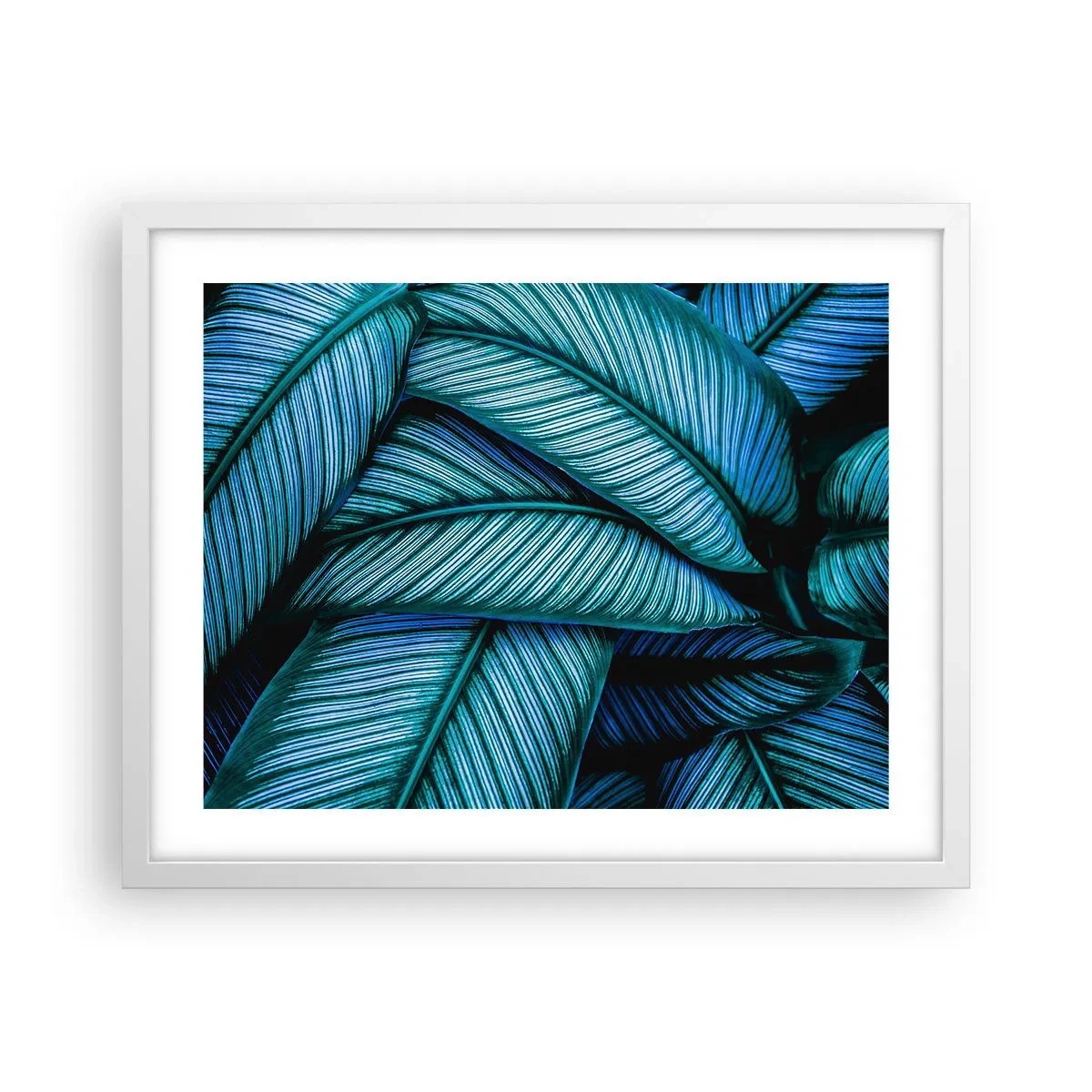 Plagát v bielom ráme - Čiary života - 50x40 cm