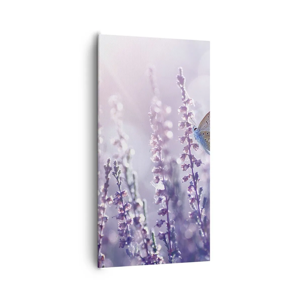 Obraz na plátne - Bozk motýľa - 65x120 cm