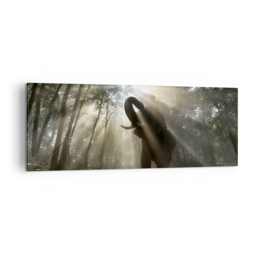 Obraz na plátne - Pod šťastnou hviezdou - 140x50 cm