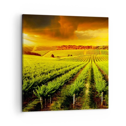 Obraz na plátne - Pod austrálskym slnkom - 50x50 cm