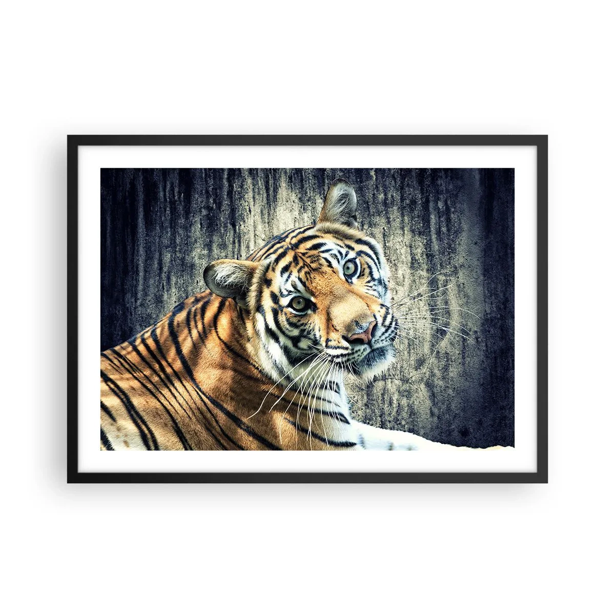 Plagát v čiernom ráme - Portrét v prameňoch svetla - 70x50 cm