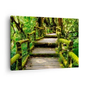 Obraz na plátne - Drevený most pokrytý machom v tropickom dažďovom pralese - 70x50cm - Chodbou zelene - Moderná nástenná dekorácia do obývacej izby a spálne ARTTOR