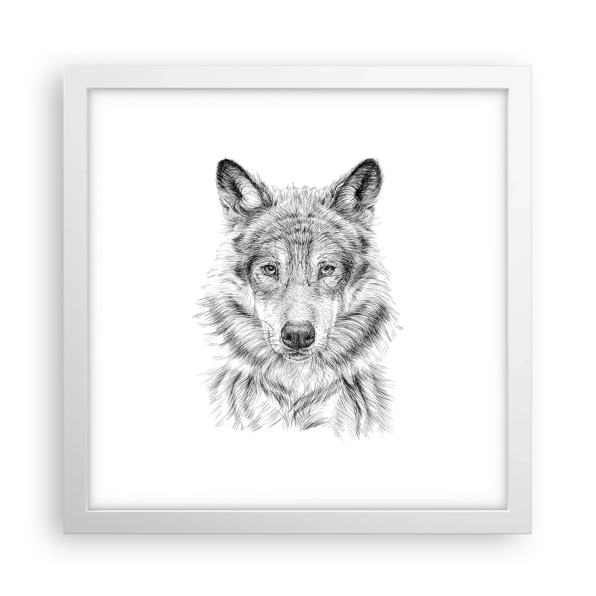 Plagát v bielom ráme - Rodený vodca - 30x30 cm