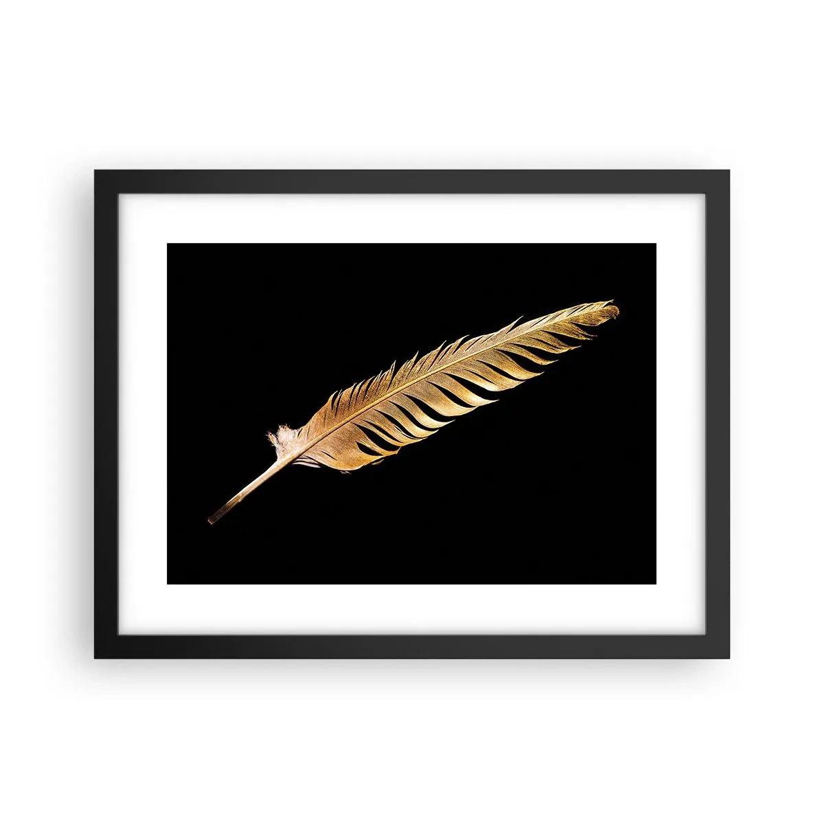Plagát v čiernom ráme - Krásne pierko… - 40x30 cm
