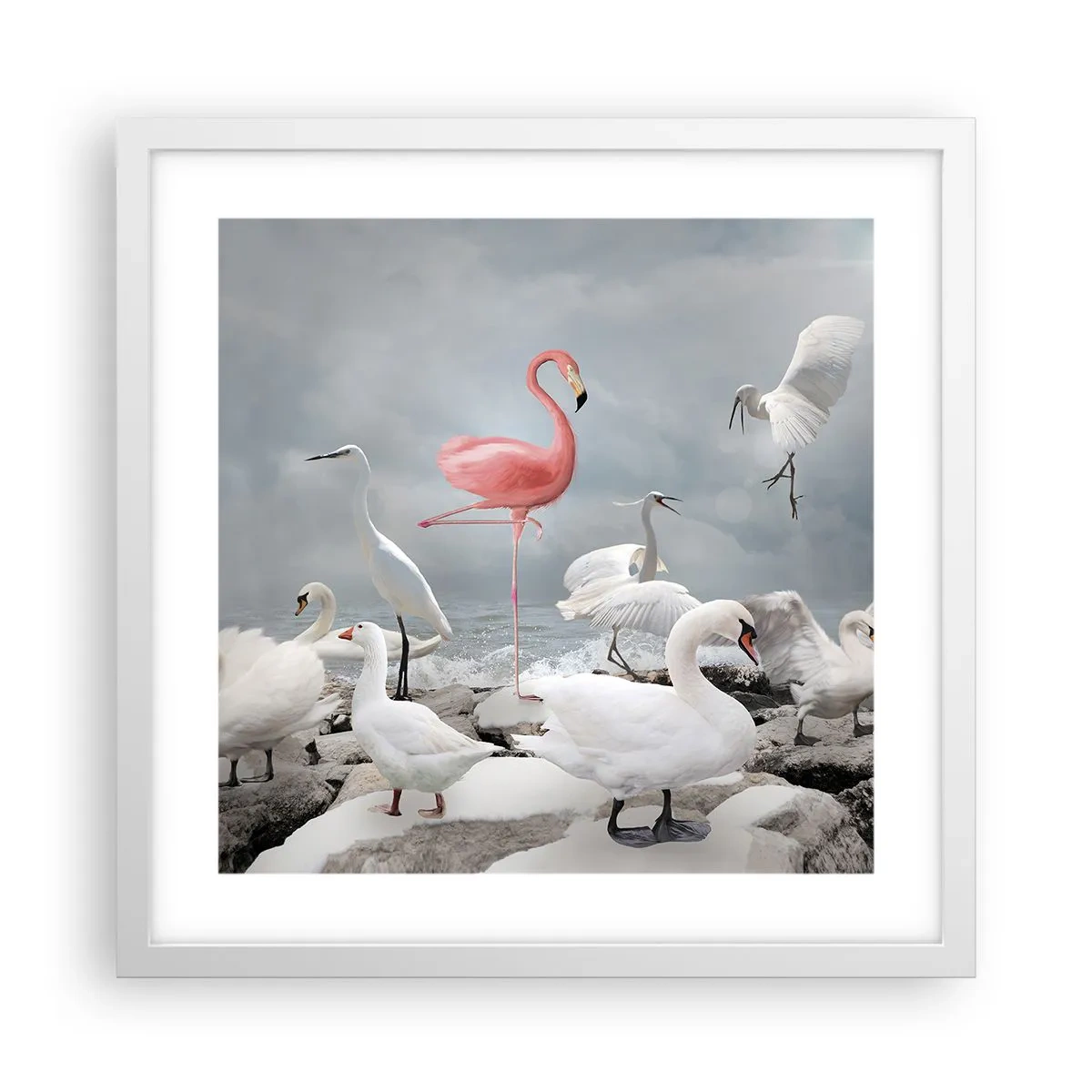 Plagát v bielom ráme - Kde som sa tu vzal? - 40x40 cm