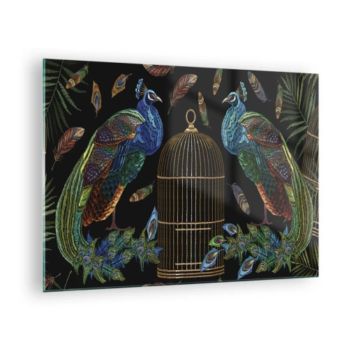 Obraz na skle - Farebné pávy a klietka na čiernom pozadí - 70x50cm - V kráľovskom rúchu - Moderná nástenná dekorácia do obývacej izby a spálne ARTTOR