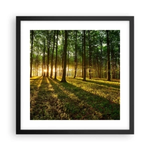 Plagát v čiernom ráme - Fotografie všetkých jarí - 40x40 cm