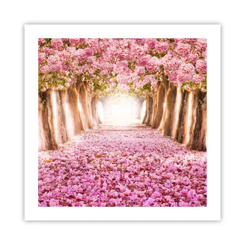 Plagát - Cesta do raja - 50x50 cm