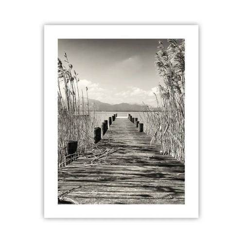 Plagát - V ústraní tráv - 40x50 cm