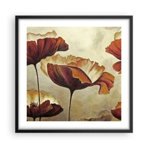 Plagát v čiernom ráme - Lán lúky - 50x50 cm