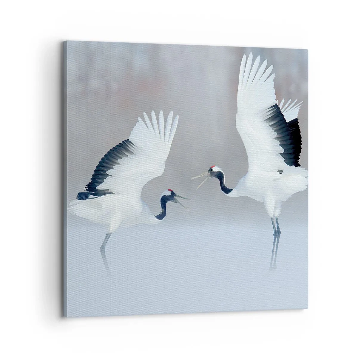 Obraz na plátne - Tanec v hmle - 60x60 cm