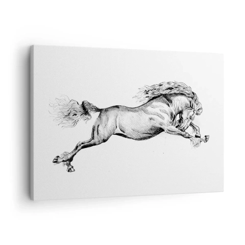 Obraz na plátne - Náčrt koňa v dynamickom cvale na bielom pozadí - 70x50cm - Zastavený v cvale - Moderná nástenná dekorácia do obývacej izby a spálne ARTTOR