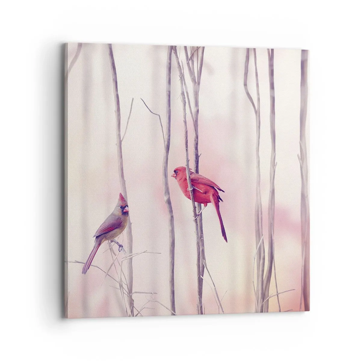 Obraz na plátne - Príbeh ružového lesa - 70x70 cm