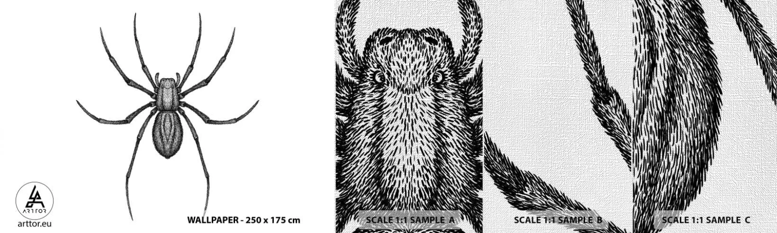 Vzorka fototapety Premium Canvas - Znepokojivá presnosť - Pavúk, Hmyz, Minimalistický - 100x30 cm