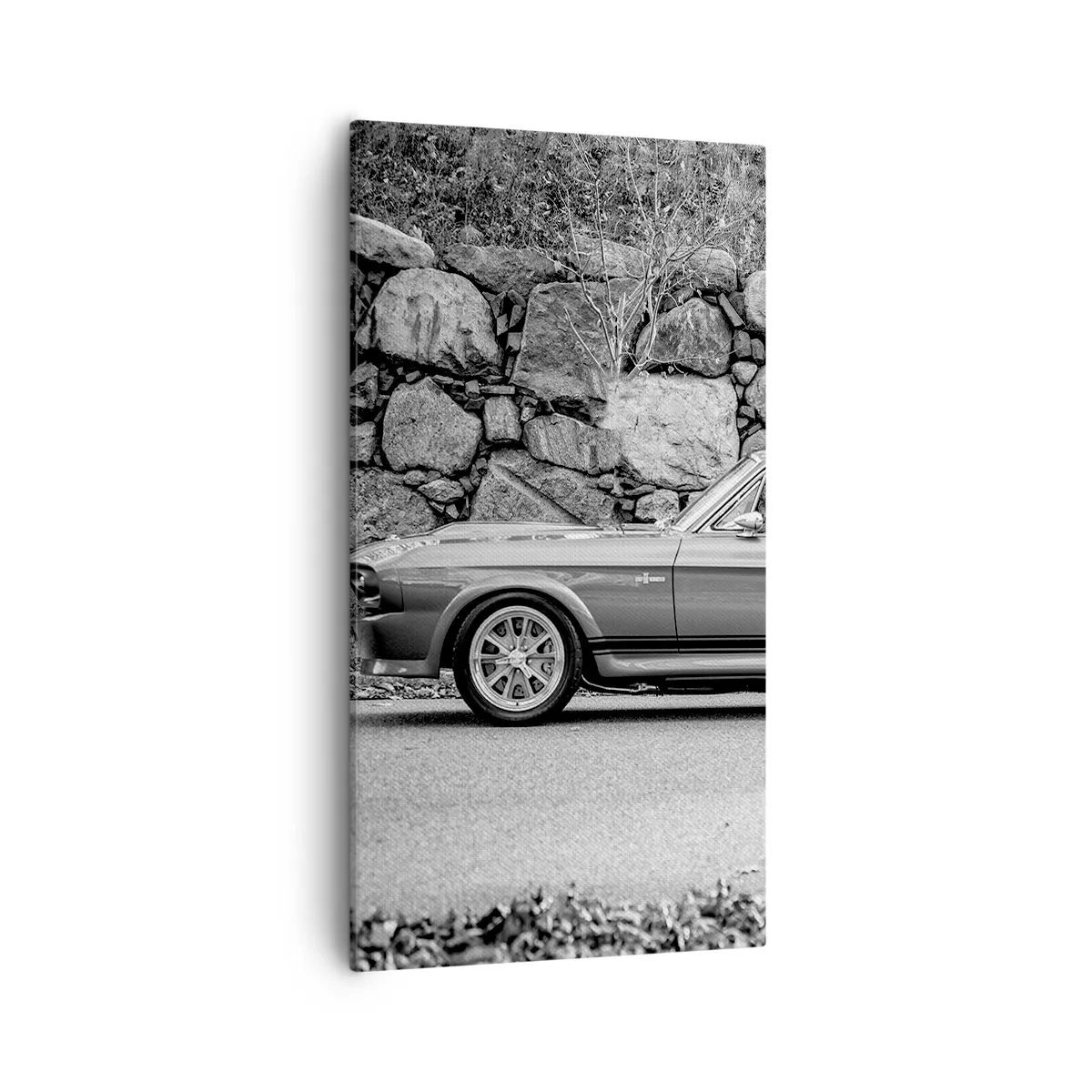 Obraz na plátne - Legenda 60. rokov - 55x100 cm