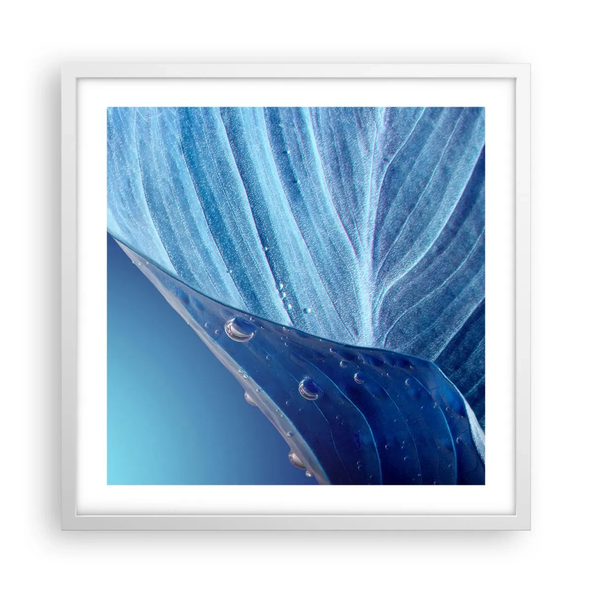 Plagát v bielom ráme - Skryté kvapky modrej - 50x50 cm