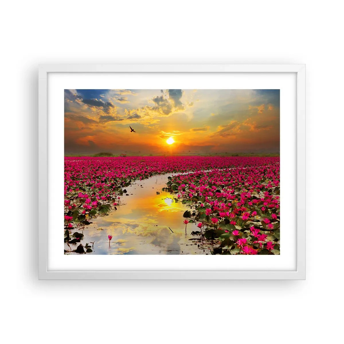 Plagát v bielom ráme - Tajomný život jazera - 50x40 cm