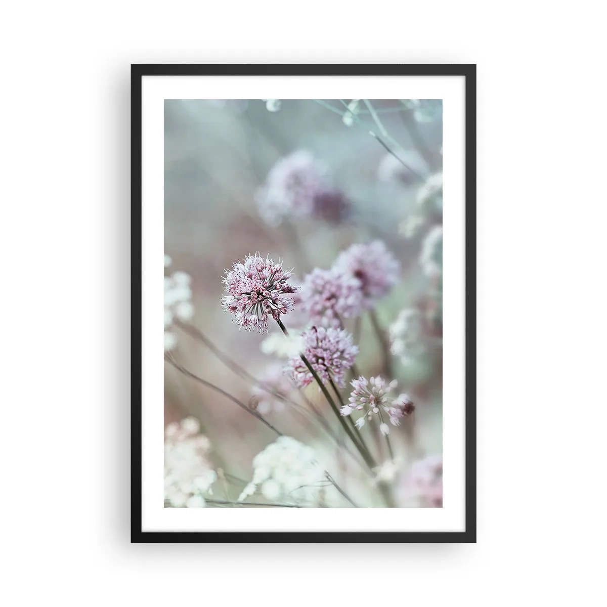Plagát v čiernom ráme - Jemné kvety v pastelových farbách - 50x70cm - Sladké filigrány byliniek - Moderná nástenná dekorácia do obývacej izby a spálne ARTTOR