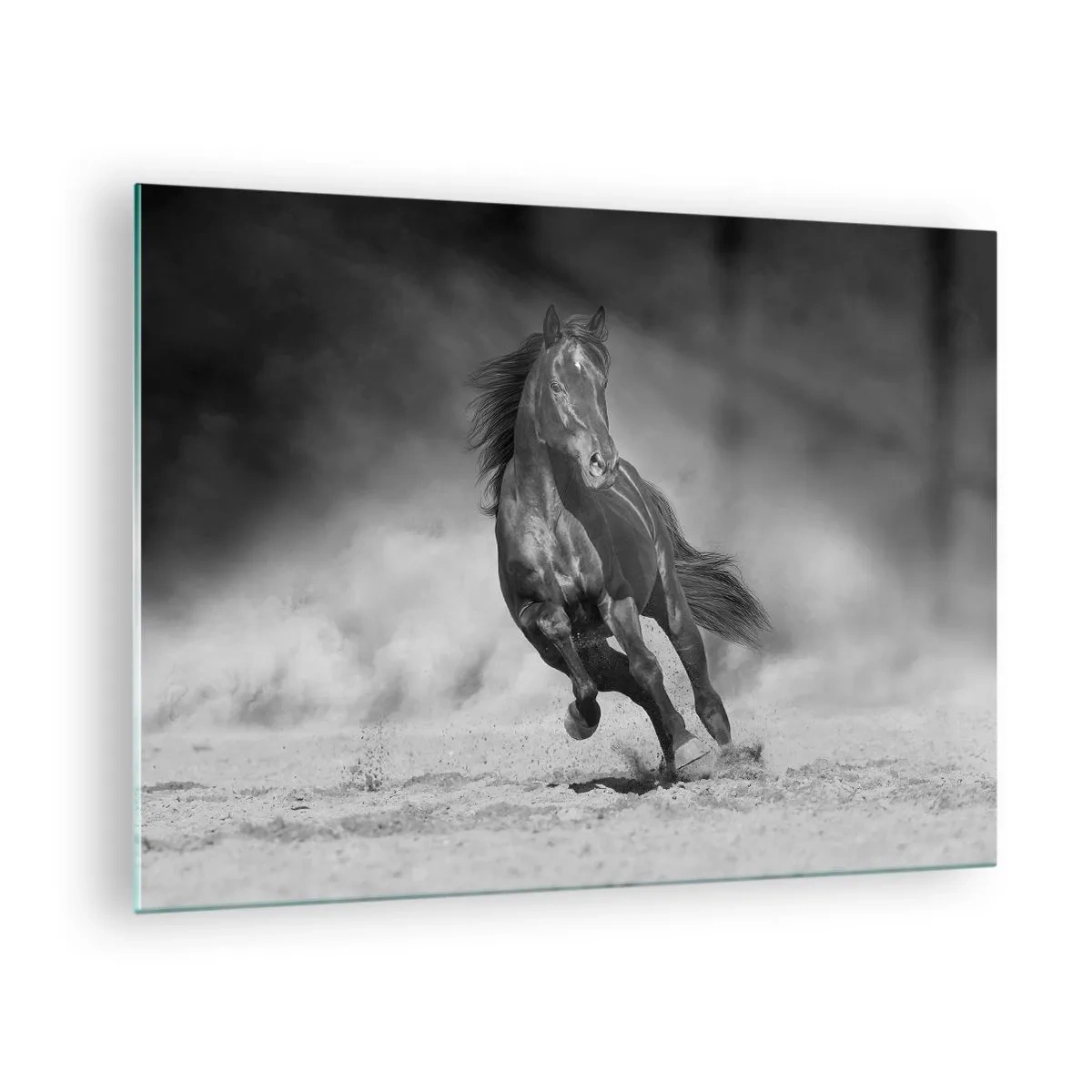 Obraz na skle - Čierny kôň cválajúci po piesku v čiernej a bielej farbe. - 70x50cm - Hodné samotného emira - Moderná nástenná dekorácia do obývacej izby a spálne ARTTOR