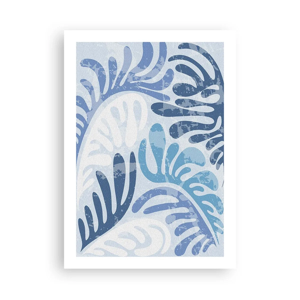 Plagát - Modré papradie - 50x70 cm