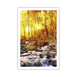 Plagát - Kamene zasadené do zlata a platiny - 61x91 cm