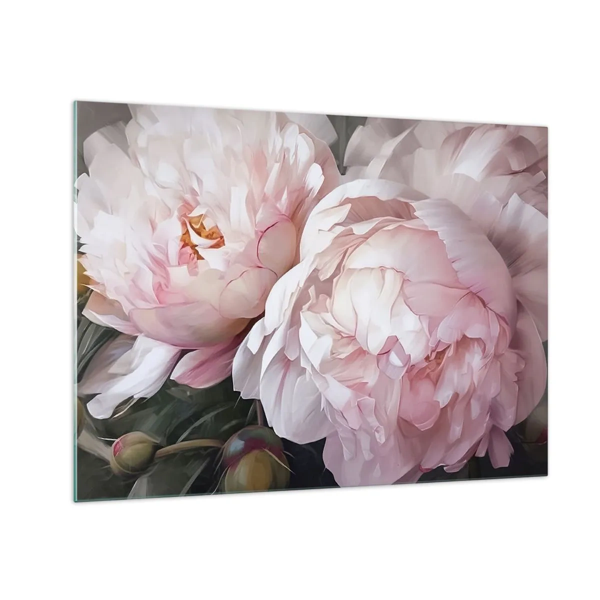 Obraz na skle - Jemné pivonky v svetloružovom odtieni zblízka - 70x50cm - Uchytené v rozkvete - Moderná nástenná dekorácia do obývacej izby a spálne ARTTOR