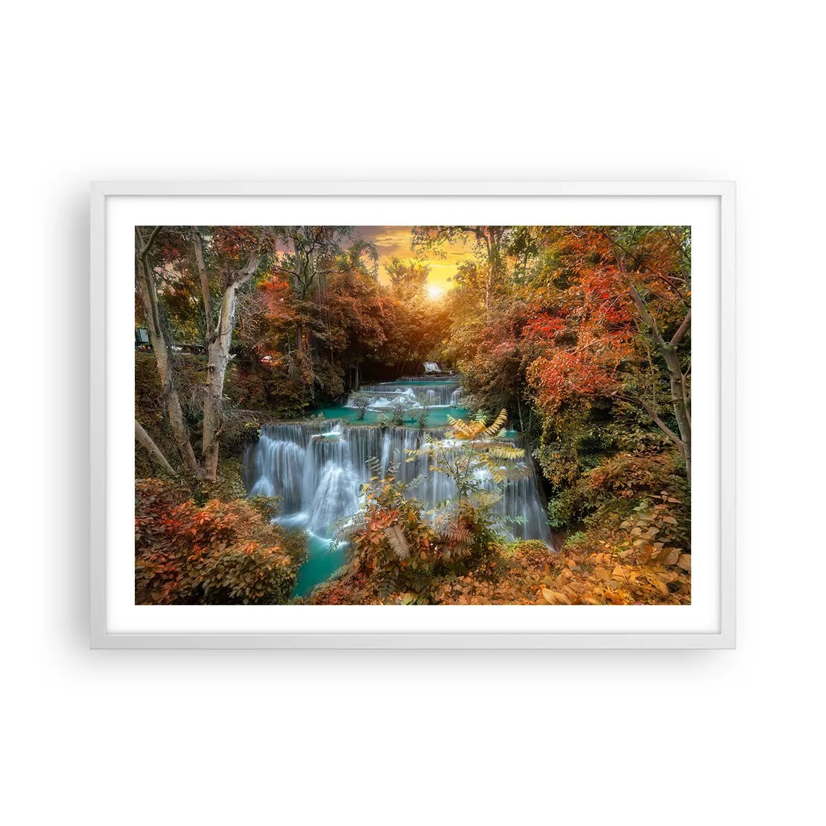 Plagát v bielom ráme - Ukrytý poklad lesa - 70x50 cm