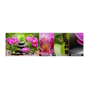 Vzorka fototapety Premium Sand - Pyramída pokoja - Kvety, Orchidea, Orchidea - 100x30 cm