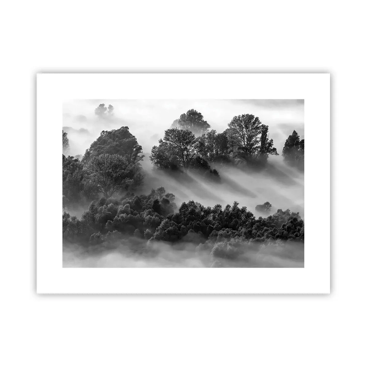 Plagát - Prebúdzanie zo spánku - 40x30 cm