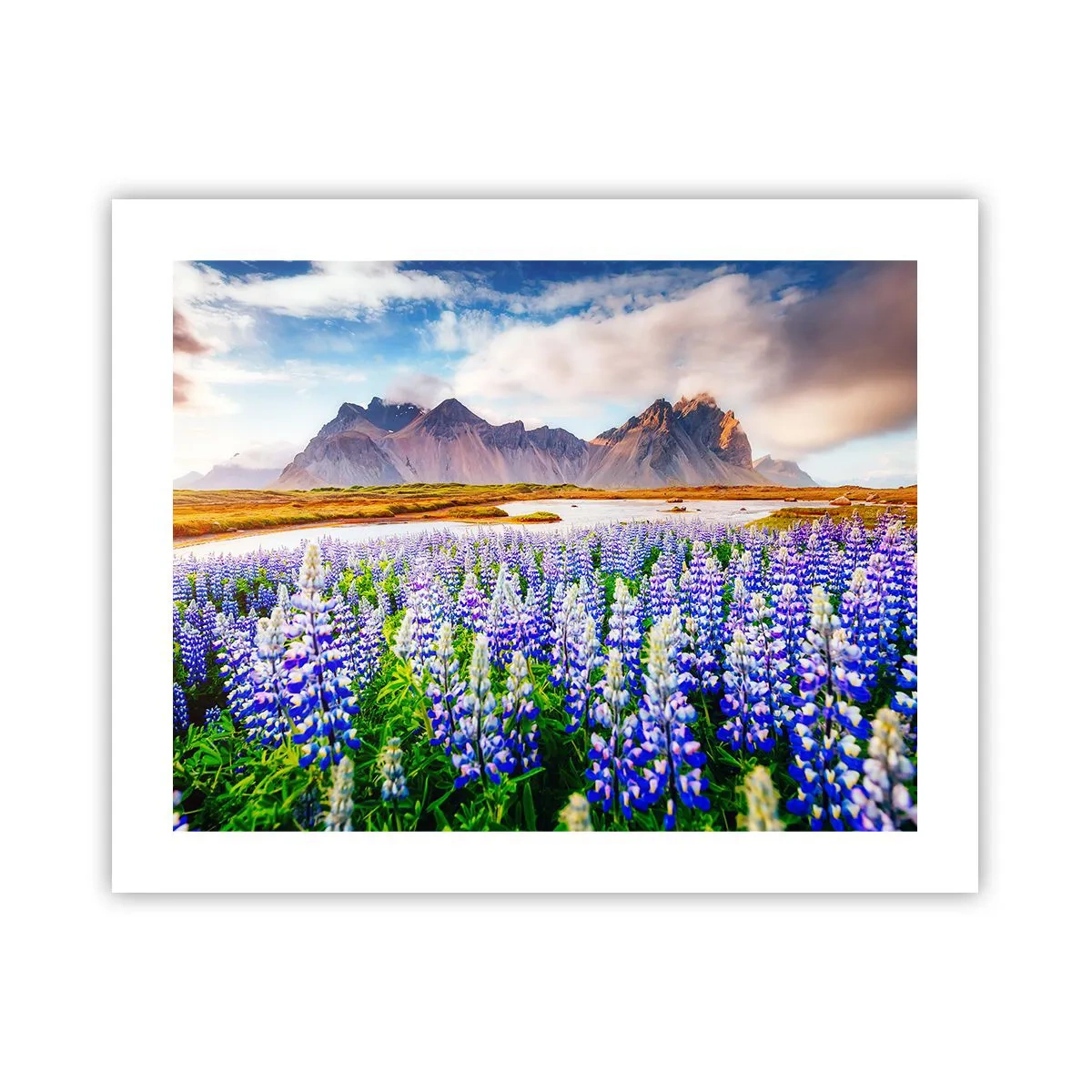 Plagát - Sila a prísnosť vedľa miernosti - 50x40 cm