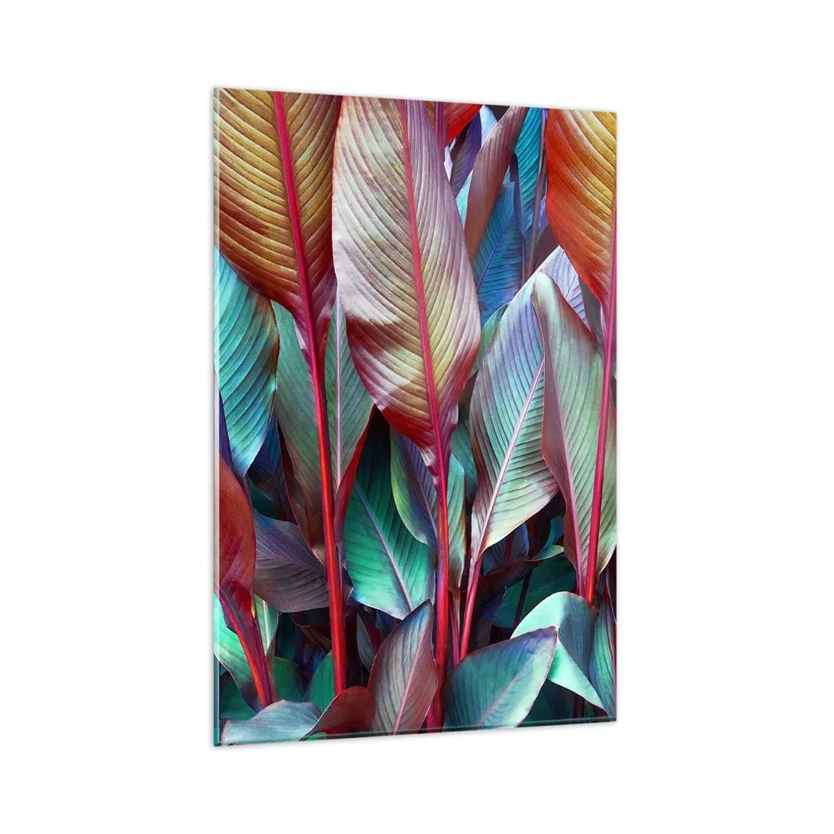 Obraz na skle - Farebná húština - 80x120 cm