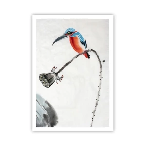 Plagát - Život lúky - 70x100 cm