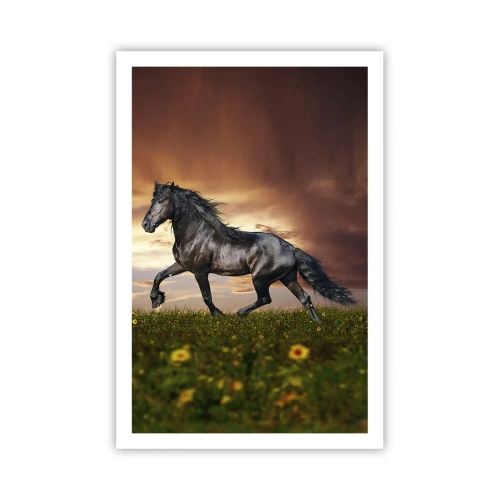 Plagát - Čierny knieža - 61x91 cm