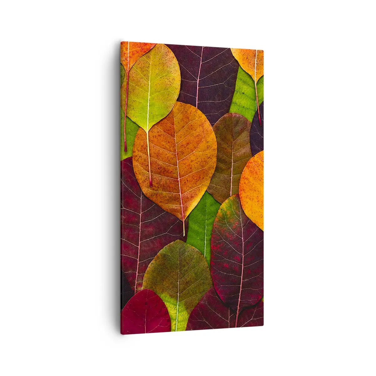 Obraz na plátne - Jesenná mozaika - 55x100 cm