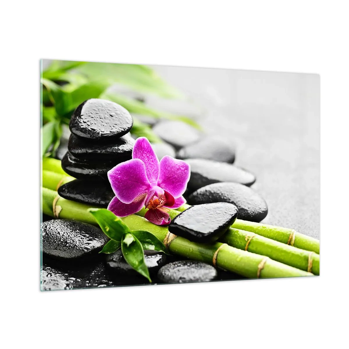 Obraz na skle - V pokojnej rovnováhe - 100x70 cm