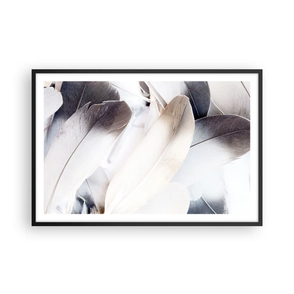 Plagát v čiernom ráme - Takmer anjelské - 91x61 cm