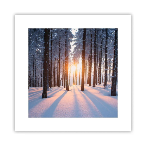 Plagát - Jasne čierne na bielom - 30x30 cm