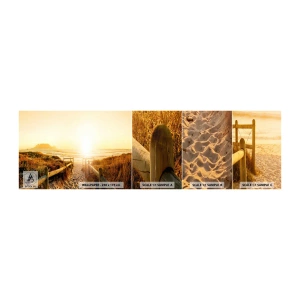 Vzorka Fototapeta Standard Eco - Dunami smerom k slnku - Krajina, Pláž, Západ slnka - 100x30 cm